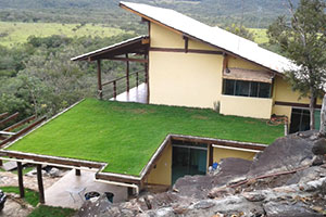 Green Roof